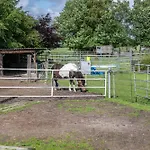 Caspersen *